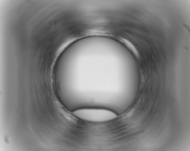 X0000096451435200801241130