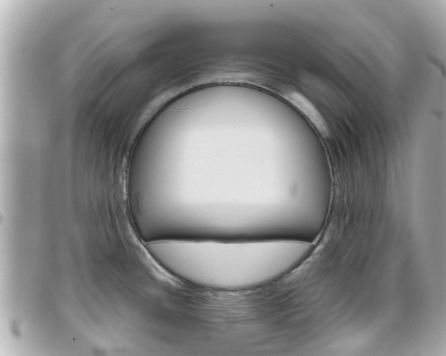 X0000096451436200801241130