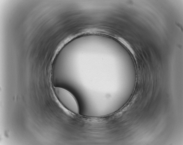 X0000096451437200801241130