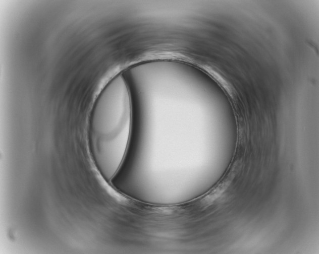 X0000096451438200801241130