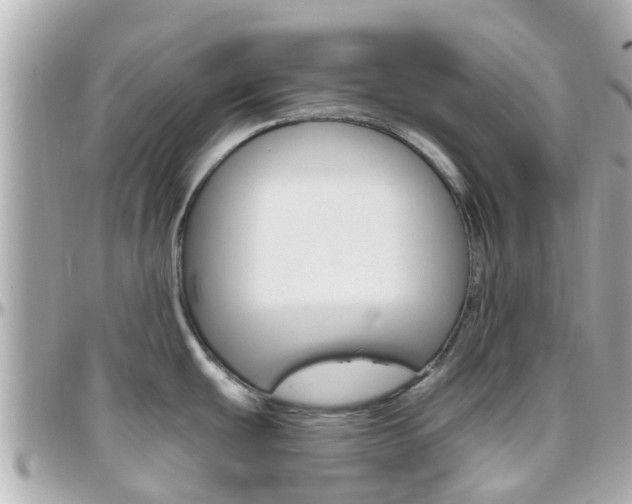 X0000096451439200801241130