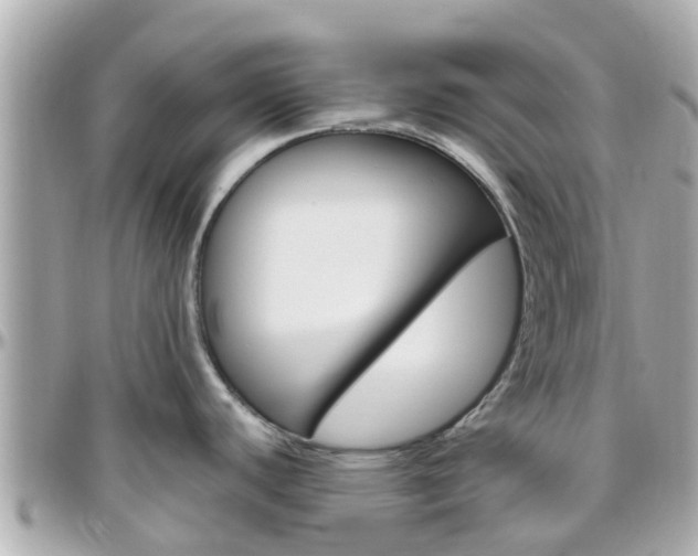 X0000096451440200801241130