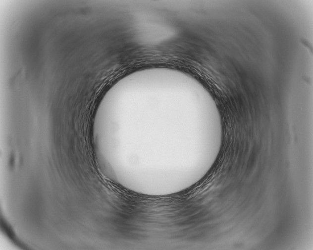 X0000096451441200801241129