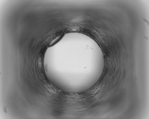X0000096451442200801241129