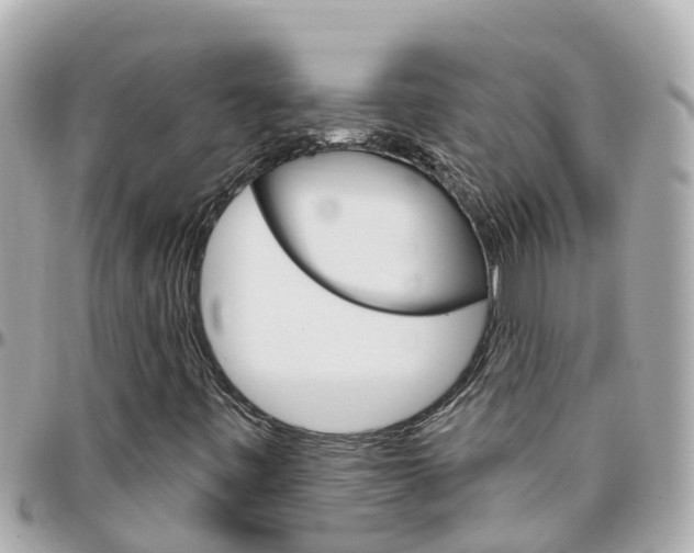 X0000096451443200801241129