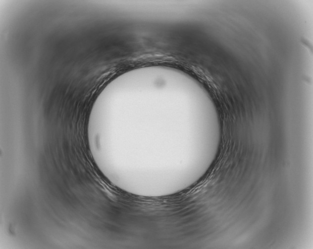 X0000096451444200801241129