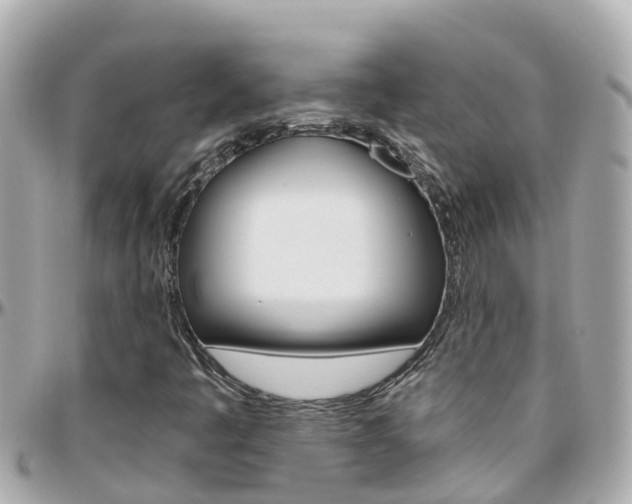 X0000096451445200801241129