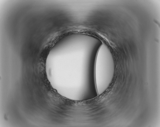 X0000096451447200801241129