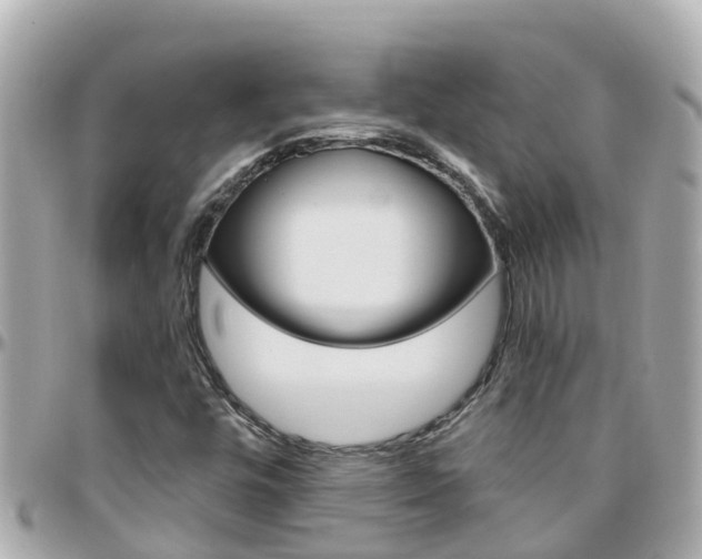 X0000096451448200801241129