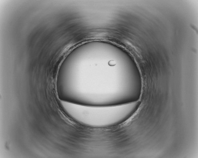X0000096451449200801241129