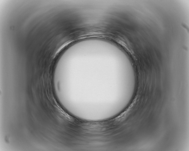 X0000096451450200801241129