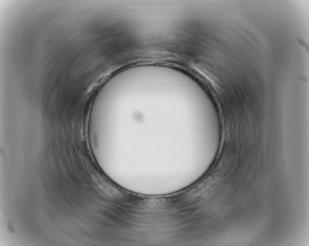 X0000096451451200801241129