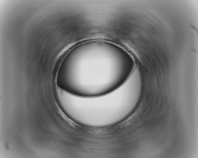 X0000096451452200801241129