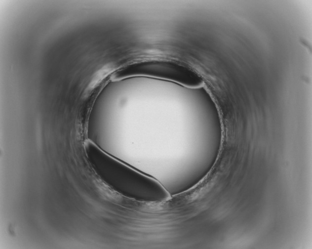 X0000096451453200801241129