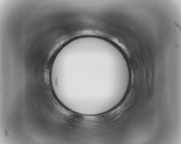 X0000096451454200801241129