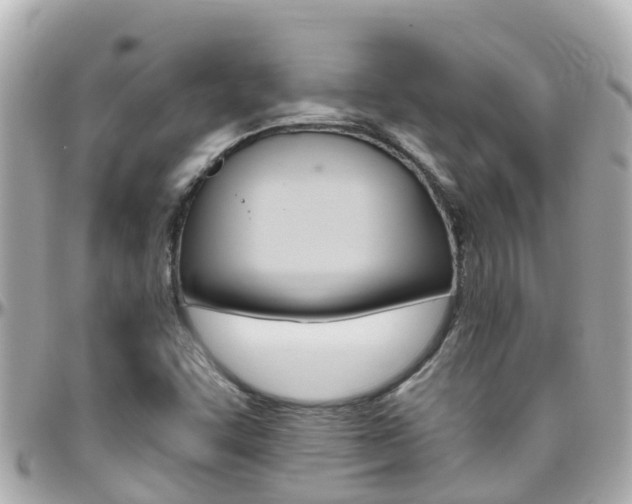 X0000096451455200801241129