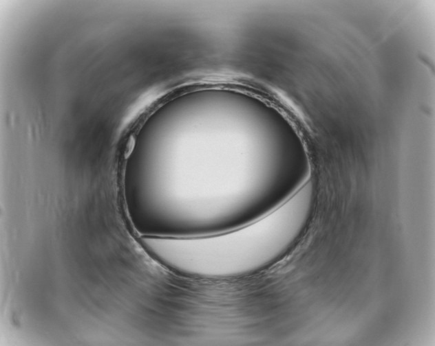 X0000096451456200801241129