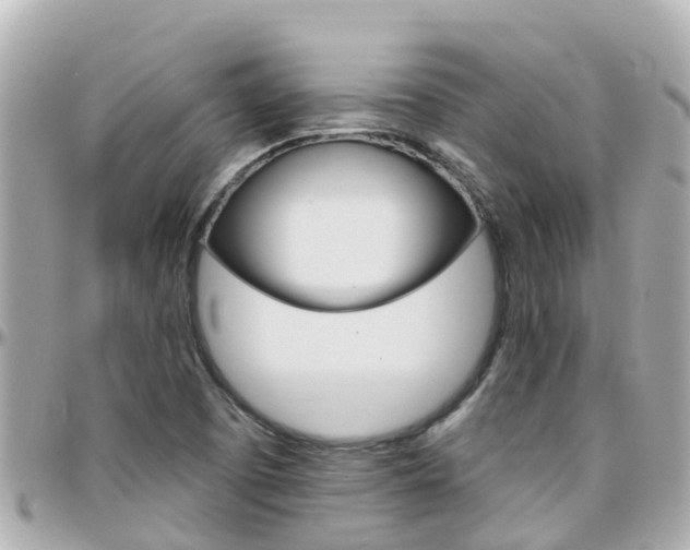 X0000096451457200801241129