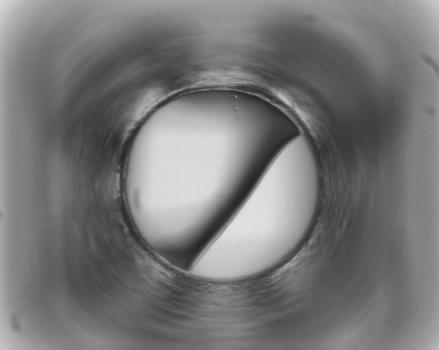 X0000096451459200801241129