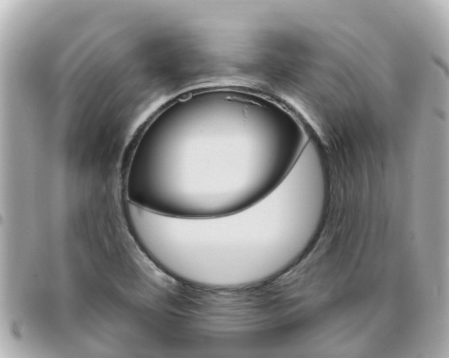 X0000096451460200801241129