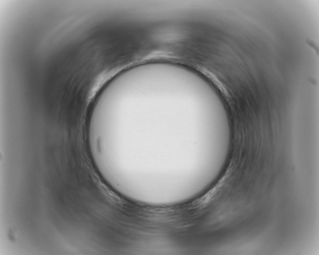 X0000096451461200801241129