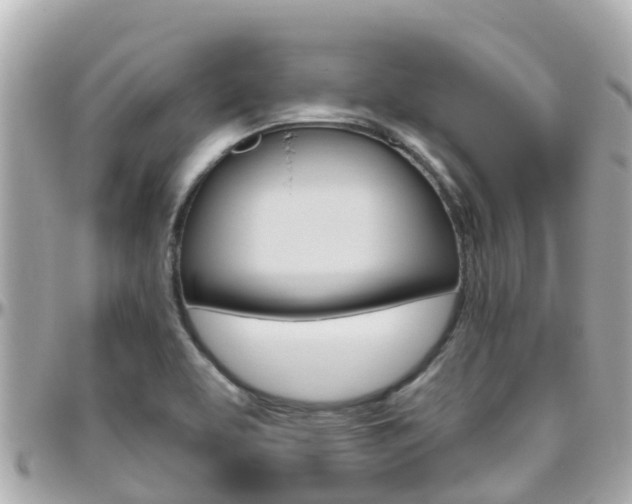 X0000096451463200801241129