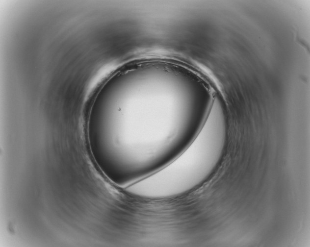 X0000096451464200801241129