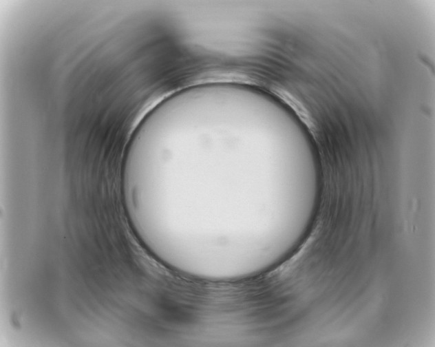X0000096451465200801241129