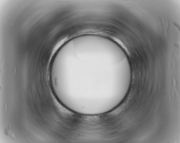 X0000096451466200801241129