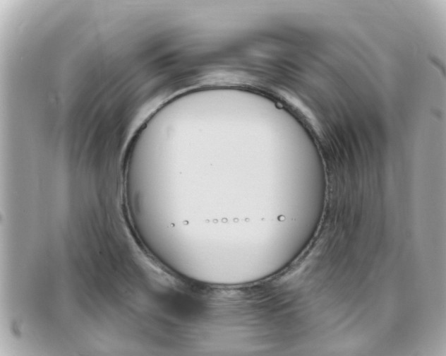 X0000096451467200801241129