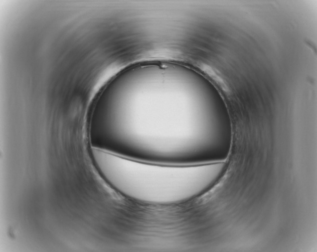 X0000096451469200801241129
