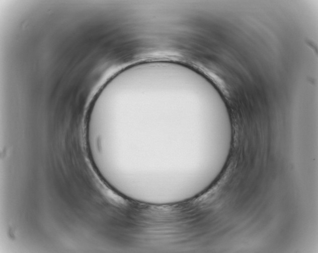 X0000096451470200801241129