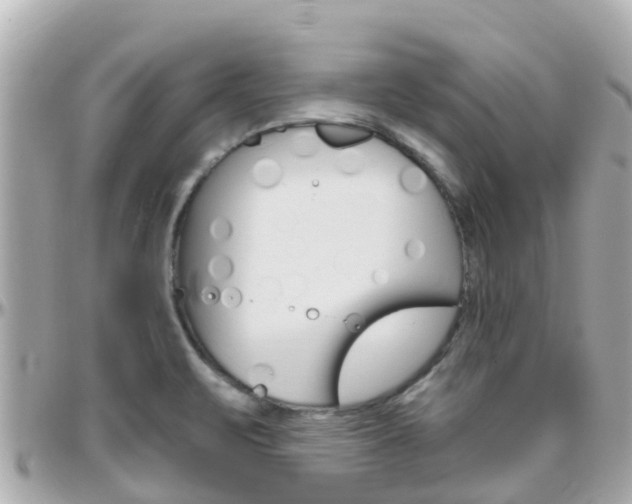 X0000096451471200801241129
