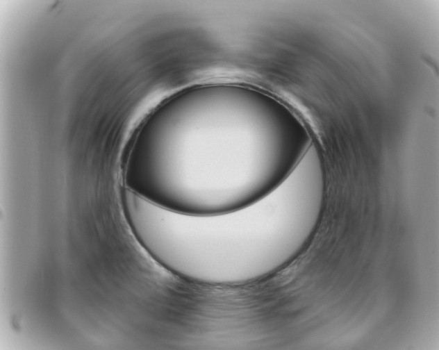 X0000096451472200801241129