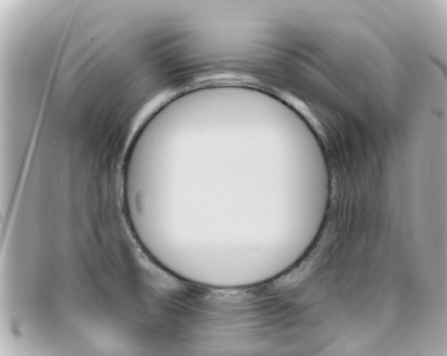 X0000096451474200801241129