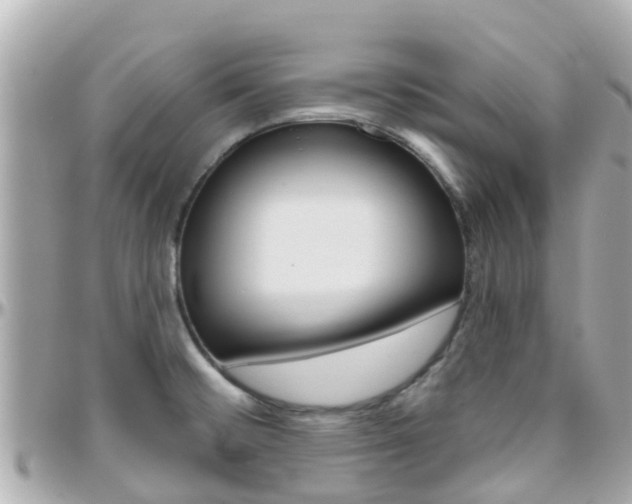 X0000096451476200801241129