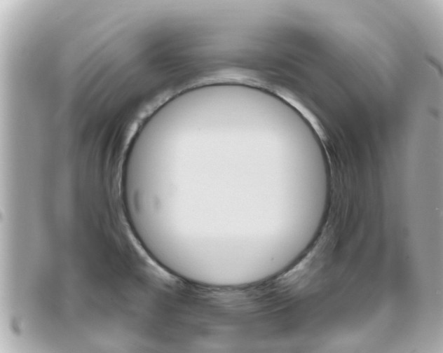 X0000096451477200801241129