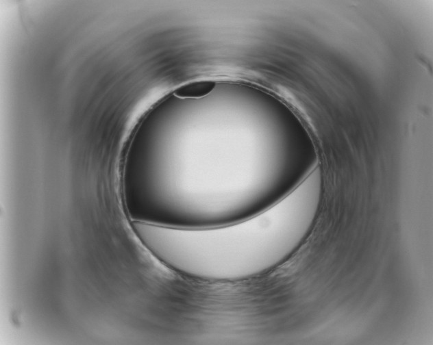 X0000096451480200801241129