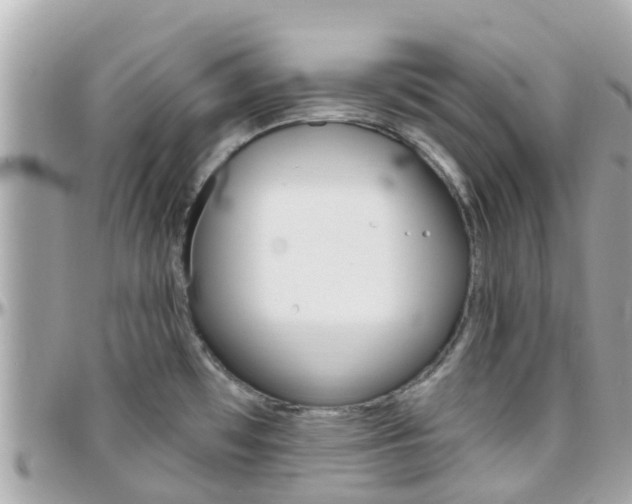 X0000096451481200801241129