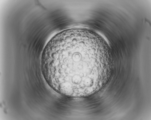 X0000096451483200801241129