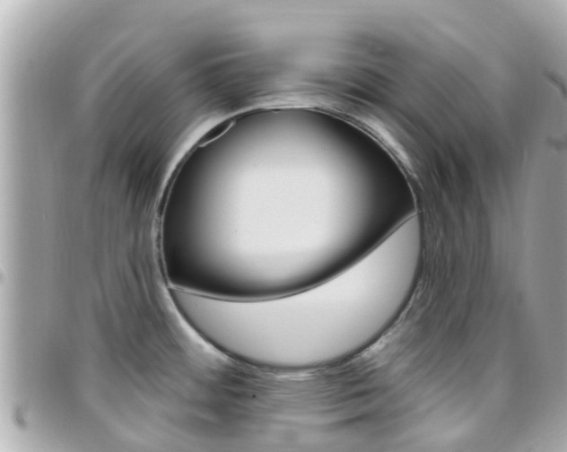 X0000096451484200801241129