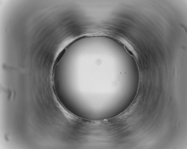 X0000096451485200801241129