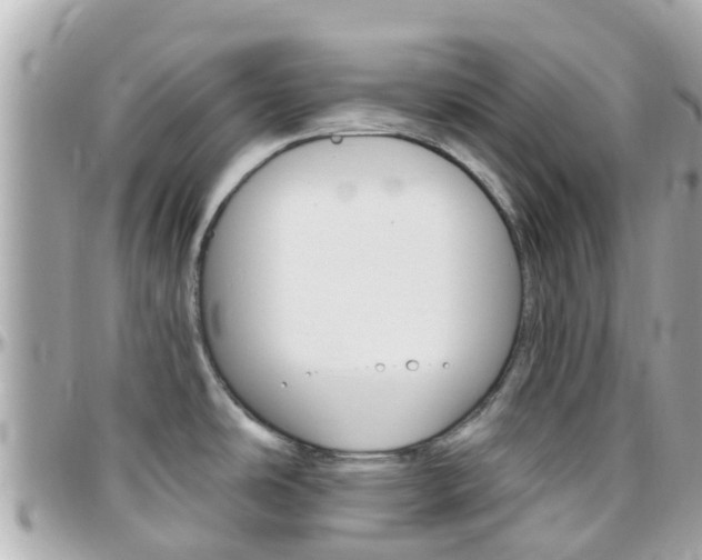 X0000096451486200801241129