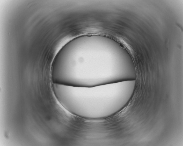 X0000096451487200801241129