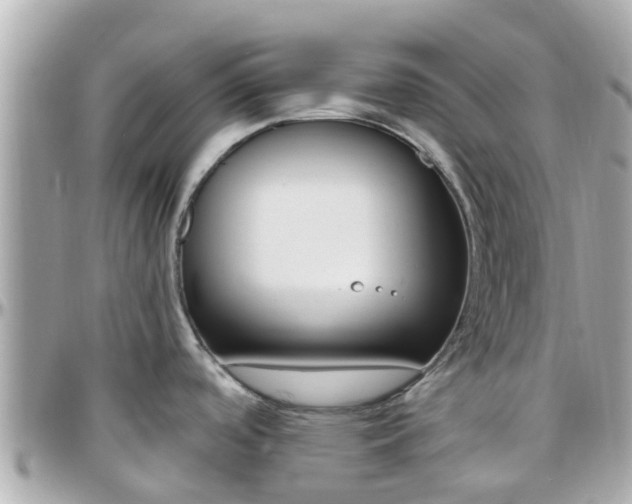 X0000096451488200801241129