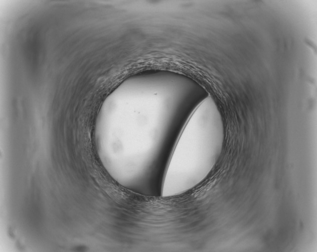 X0000096451489200801241128