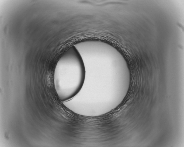 X0000096451490200801241128