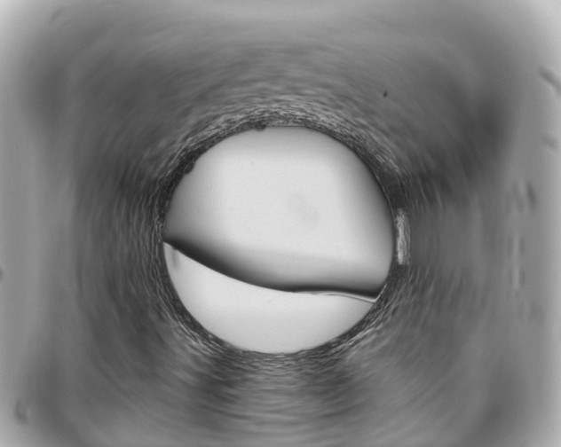 X0000096451491200801241128