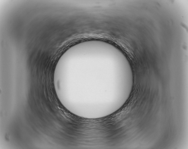 X0000096451492200801241128