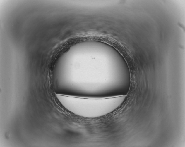 X0000096451493200801241128